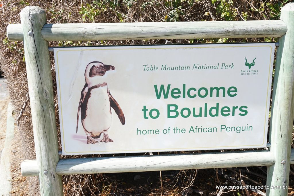 2017-03-29 - B - Boulders Beach (1)