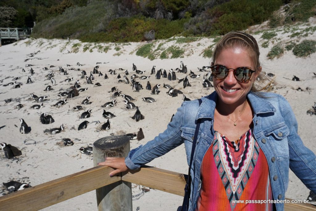 Amando ver tantos bichinhos fofos juntos!