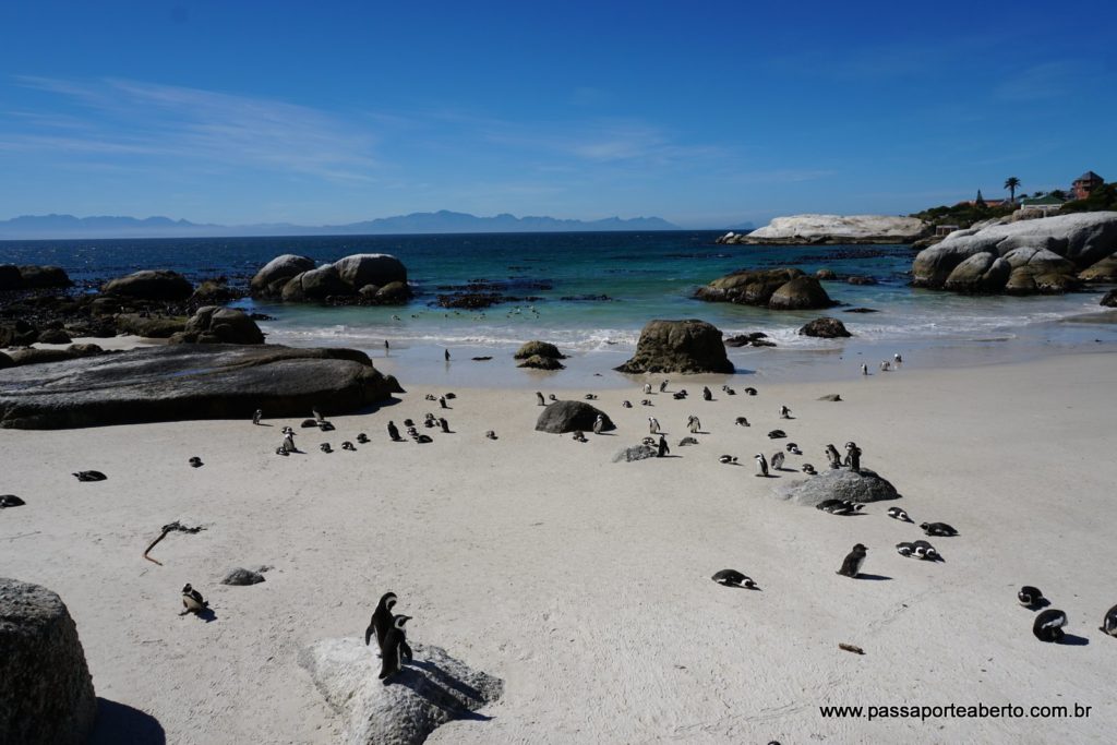 Foxy Beach é a praia onde fica a Boulders Penguin Colony