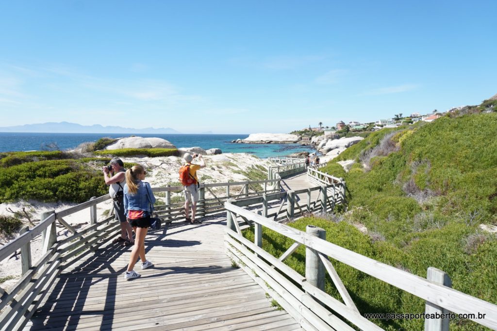A reserva é rodeada por decks para que você possa observar mas sem invadir o habitat do pinguim