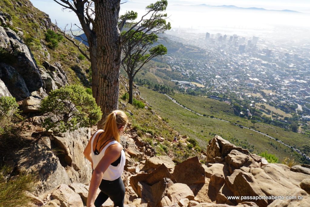 2017-03-30 - A - Lion's Head (141)