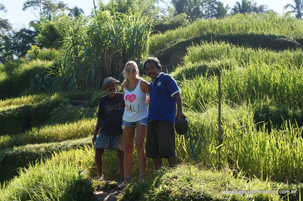 Nas plantações de arroz em Bali
