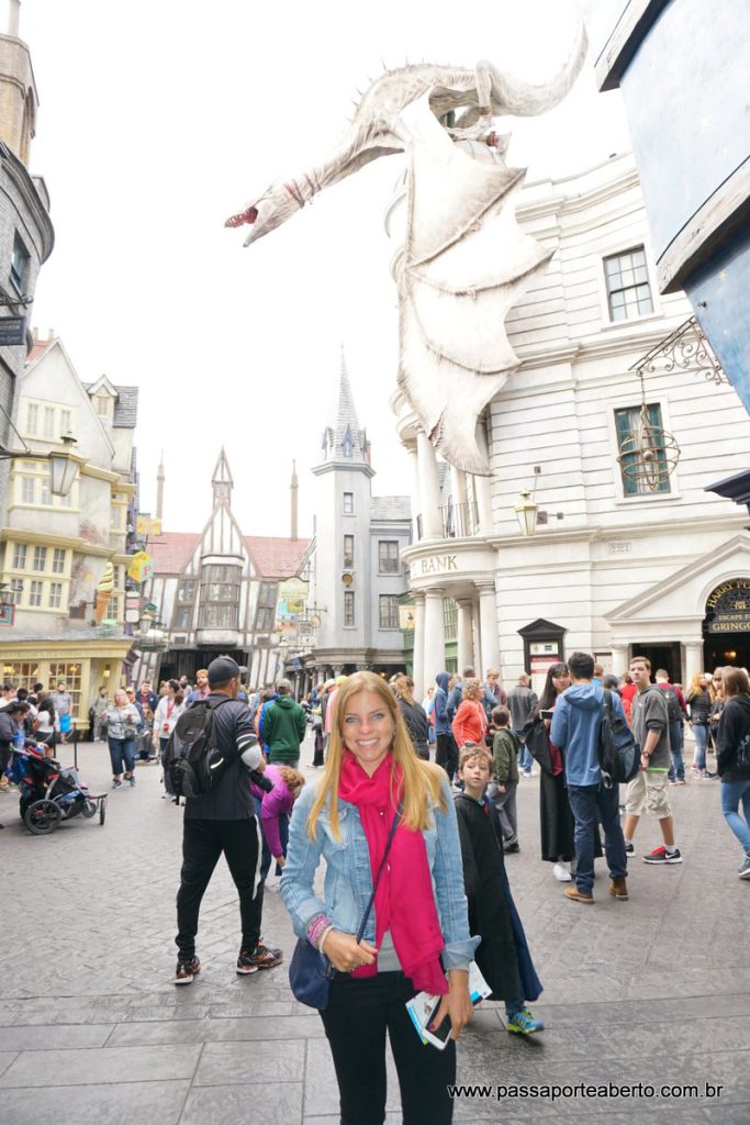 Nos brinquedos do Harry Potter o Express Pass não é aceito! Mesmo assim ele vale muito a pena!