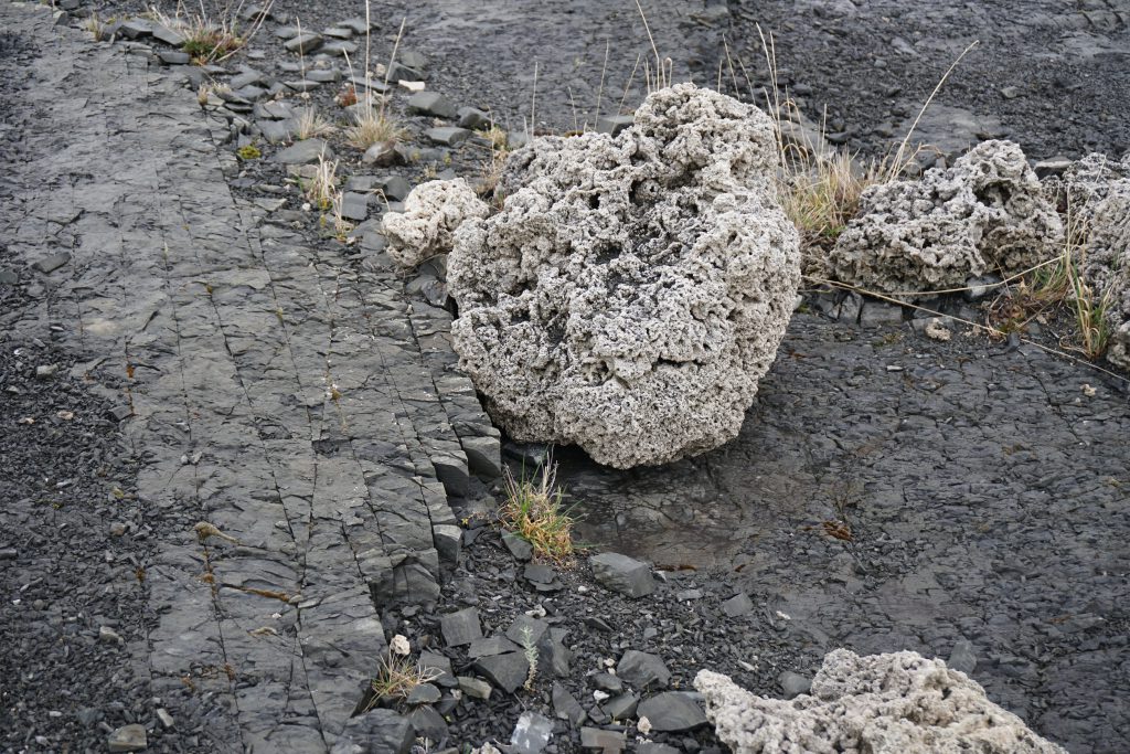Pedra coberta com sedimentos das cianobactérias no Lago Sarmiento