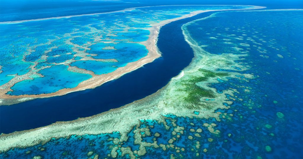 Grande Barreira de Corais australiana, como não amar?