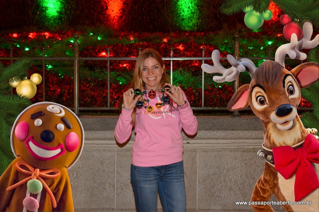 No fim até entrei no clima, com colar de luzinhas!!!