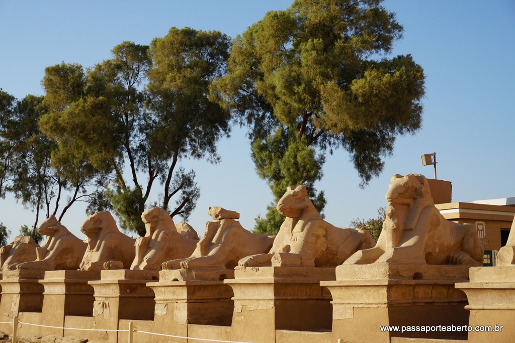 Cultura riquíssima e história extensa e antiga, vale a pena ler antes de ir! Foto no Templo de Karnak, em Luxor!
